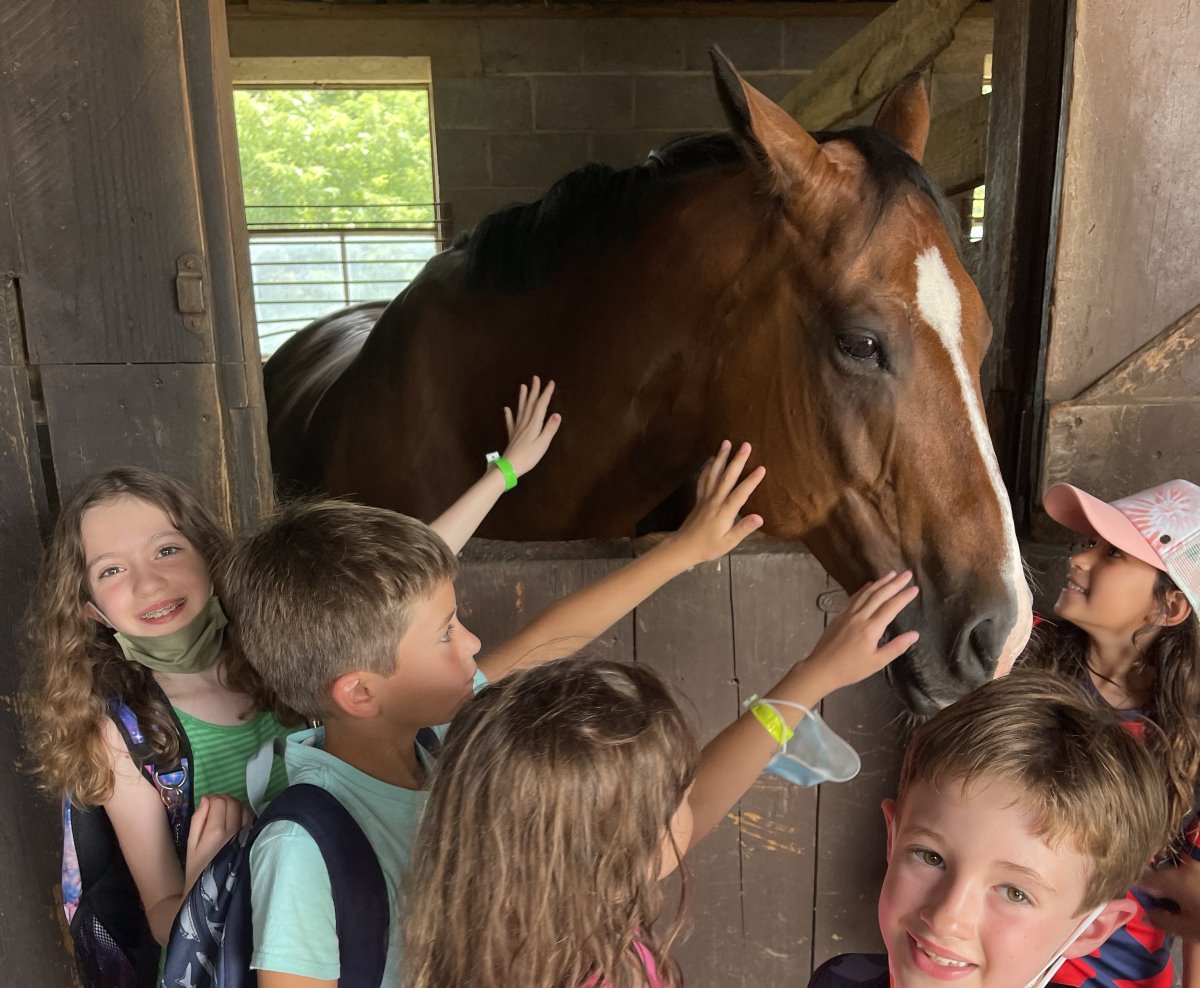 Riding The Madeira School
